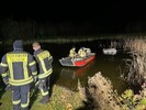 Verletzte Gans am Golfplatz